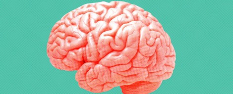 Warum spüren wir unser Gehirn nicht?