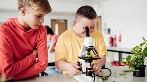 Inklusion an deutschen Schulen, verständlich erklärt 