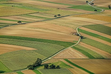 Ernährung - Landverbrauch - Emissionen im Jahr 2050: Die Quadratur des Kreises