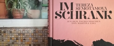 Mein kleiner Buchladen: „Frische Bücher“ – Im Schrank