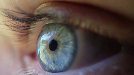 3D-gedruckte Hornhaut aus körpereigenen Zellen u andere 3D-Druck Innovationen in der Augenmedizin