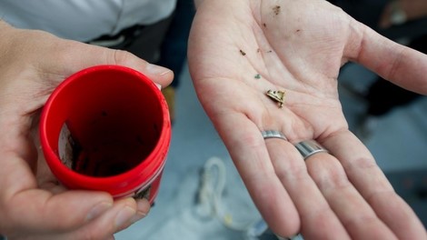 Plastik im Meer und was sich dagegen tun lässt