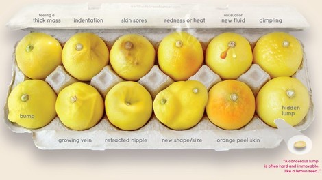 „Know your lemons!" – Die Zeichen von Brustkrebs, erklärt mit Zitronen 