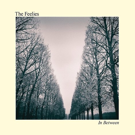 The Feelies mit neuem Album