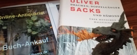 Mein kleiner Buchladen: „Sachbücher“ – Drachen, Doppelgänger und Dämonen