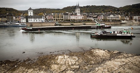 Die Folgen der Dürre: Welche Probleme das Niedrigwasser des Rheins mit sich bringt