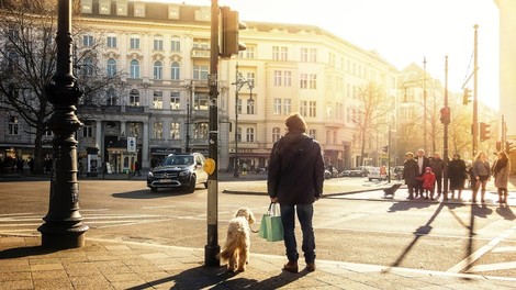 Fahrverbote: Die Justiz kümmert sich um Luftreinhaltung, weil die Politik versagt hat