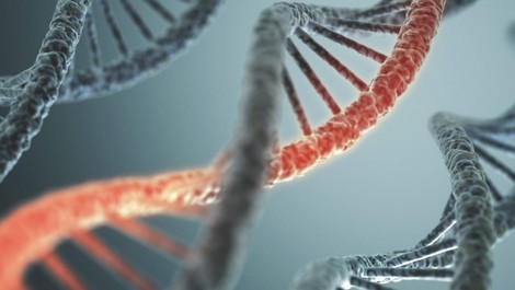 Erweiterte DNA Analyse