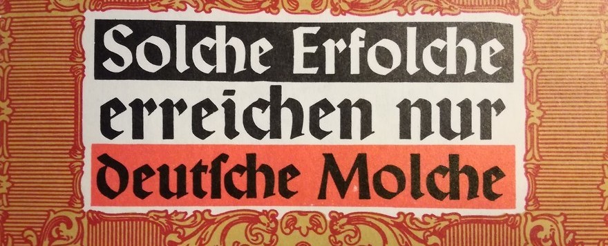 Mein kleiner Buchladen: "illustrierte Bücher" - Der Krieg mit den Molchen