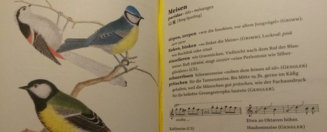 Mehr Verben am Morgen! Handwörterbuch der Vogellaute 
