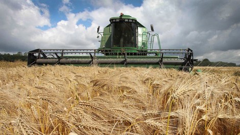 Der Klimawandel macht Landwirten das Leben schwer 