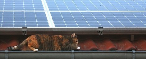 Mietstrom vom Dach: Die solare Revolution könnte so einfach sein