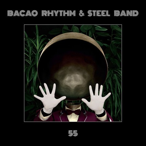 Bacao Rhythm & Steel Band aus Hamburg