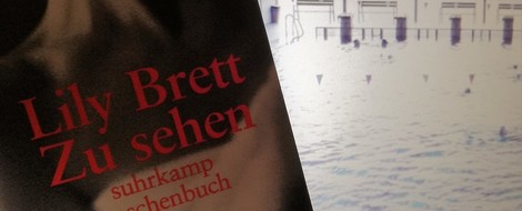 Vom Lesen in fremden Städten – Lily Brett, "Zu sehen"