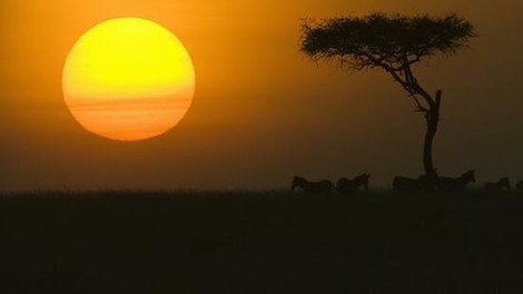 So bringt die Koppelung von Solar und Mobilfunk Strom in ländliche Regionen Afrikas