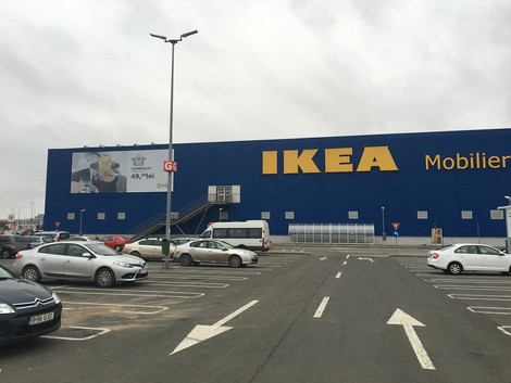 Kahlschlag in den Karpaten: Harvard, Ikea und das kriminelle Holzgeschäft in Rumänien