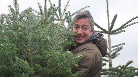 Der andere Deutsche und sein türkischer Weihnachtsbaum