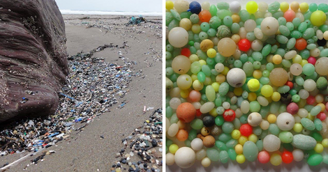 Plastikmüll am Strand – ein Mann räumt auf und macht Kunst aus dem Dreck