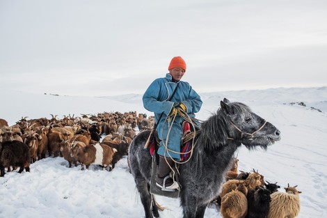 Mongolische Nomaden kämpfen mit Extremwetter, das noch extremer wird