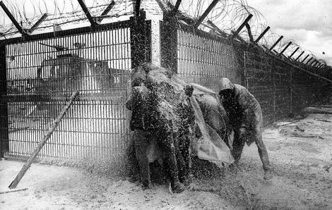 30 Jahre Wackersdorf: Die Pfingstschlacht um eine Wiederaufbereitungsanlage 