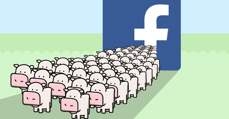 Facebook-Daten: Die Kühe bleiben auf dem Eis
