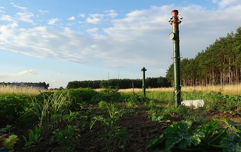 Sinneserfahrung im 21. Jahrhundert: Digital den eigenen Garten pflegen 