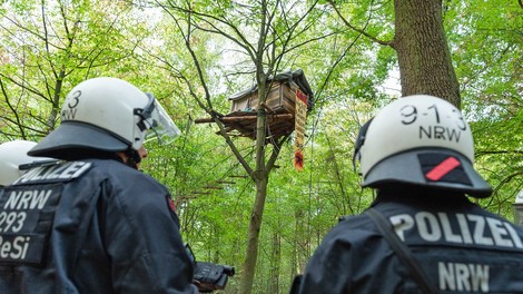 Ab heute: Tag X im Hambacher Forst