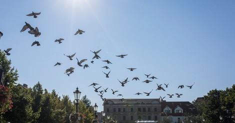 Als Vielvölkerstaat ist Polen wohl verloren