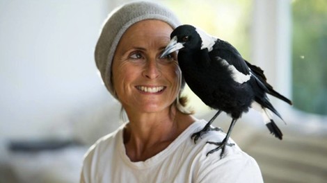 Kleiner Vogel, großes Glück oder wie eine Krähe eine Familie rettete