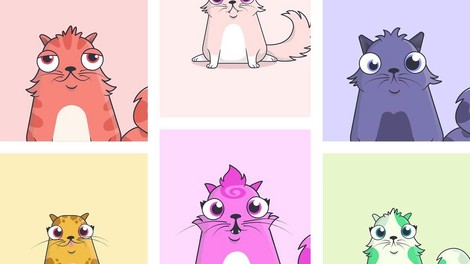 CryptoKitties: Die Gamifizierung der Blockchain – mit Kätzchen