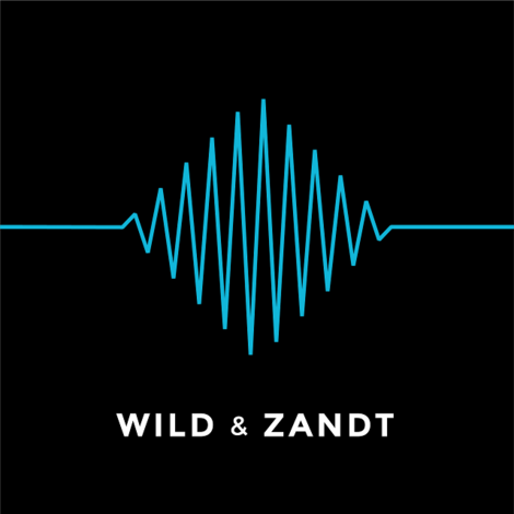 Wild & Zandt – Ein neuer Podcast über die Musik von Games