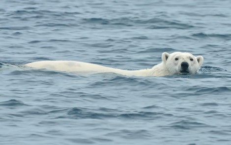 Wieso zweifeln so viele US-Konservative immer noch am Klimawandel?