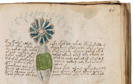 Das Voinych-Manuskript - das mysteriöseste Buch der Welt  