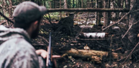 Die jagenden Tierliebhaber von Maine, USA