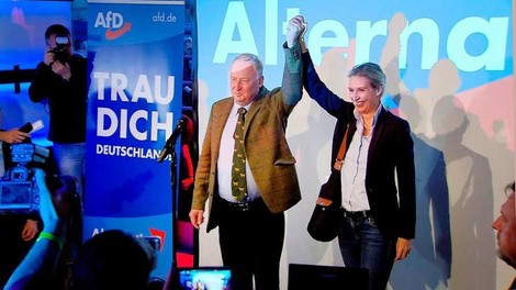 Quo Vadis AfD? Sechs Monate Bundestag