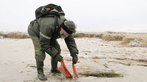 Eine unberührte Nordsee-Insel - voller Plastikmüll. Das ist Mellum.