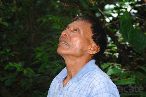 Amazonas-Heiler schreiben 1000-seitige Enzyklopädie ihres Wissens