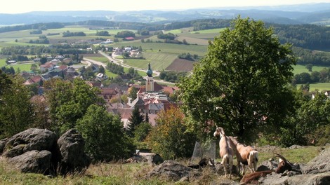 Wie eine kleine bayerische Gemeinde zum Vorbild für Biodiversität wurde