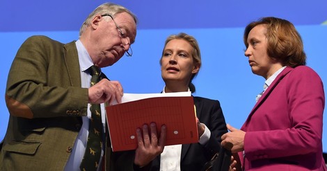 AfD Parteitag: Heimat war gestern, sozial und solidarisch ist jetzt dran* (*aber nur für Deutsche)