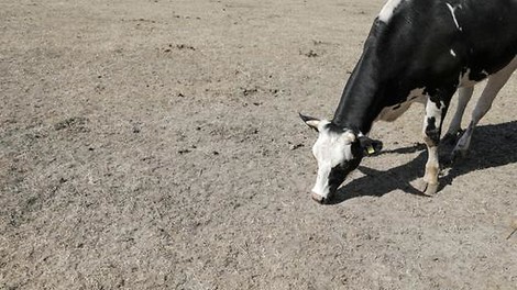 Alarmierende Klima-Studie: Wir müssen uns beeilen, sonst ist es zu spät