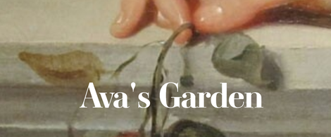 Perlentaucherinnen, obskure Kunst und seltsame Schönheit — die wundersame Welt in Ava’s Garden