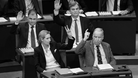 Wir sind alle da – 100 Tage AfD im politischen Herz der BRD 