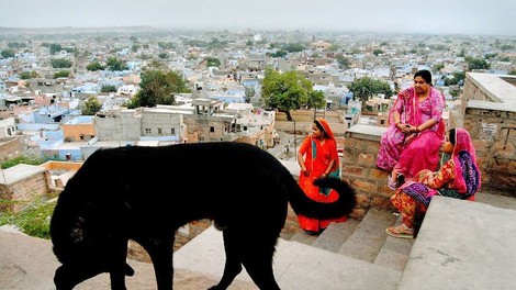 Der Chronist eines Subkontinents - der indische Fotograf Raghu Rai