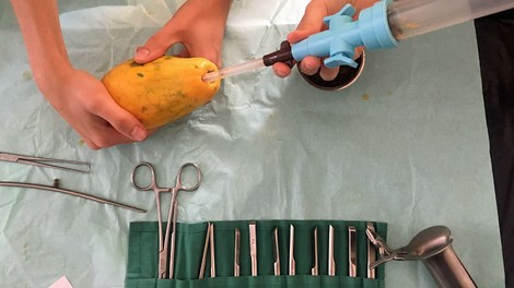 Abtreibung: Was Studierende in der Uni nicht lernen, wird an der Papaya geübt