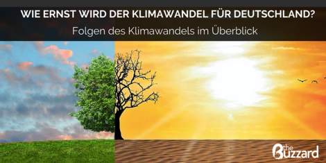 Wie ernst wird der Klimawandel für uns in Deutschland?