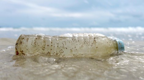 Plastik verbieten - ein Segen für Umwelt, Wirtschaft und Verbraucher?