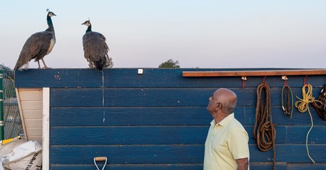 Anshu und der Löwenburger: Ein Mann, ein Zoo, ein Ziel