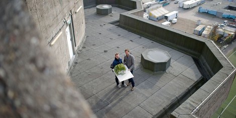 Tarnkappe Feldstraßenbunkerbegrünung