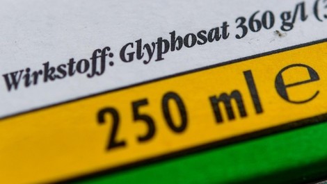 Streit um Glyphosat: Was passiert, wenn die Zulassung ausläuft? Antwort: Es wird einfach verlängert.