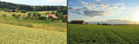 Ernährungssicherheit, Klimawandel, Biodiversität: Wie man verschiedene Aspekte vereinen könnte.